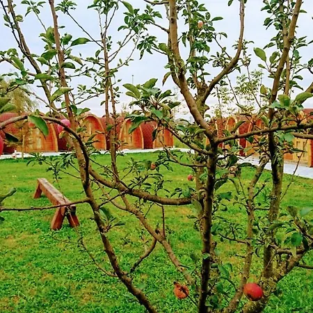 Village Jurka *
